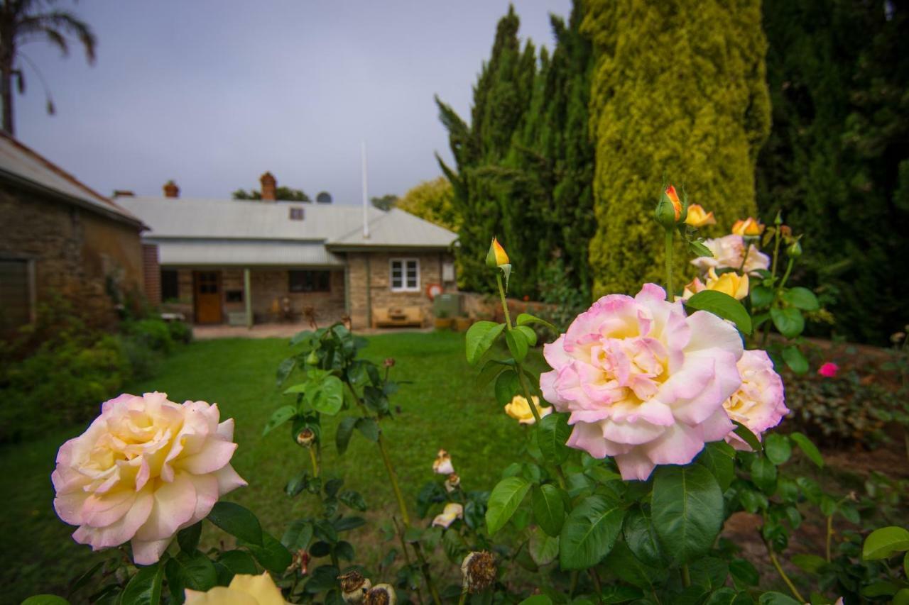 Grand Cru Estate Homestead Springton Exterior photo